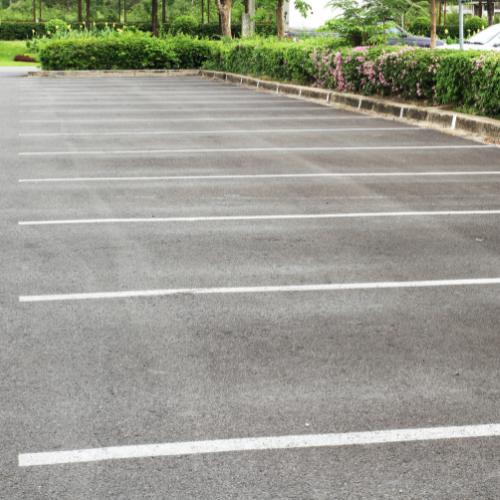 Graupflege in Friedrichshafen – Fachbetrieb