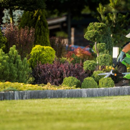 Professionelle gruenpflege in Deutschland