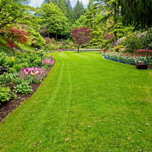 graupflege in Deutschland - Bild 1