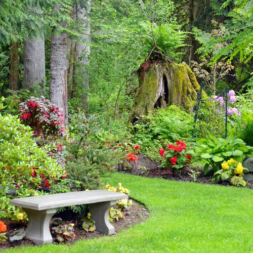 Professionelle graupflege in Deutschland